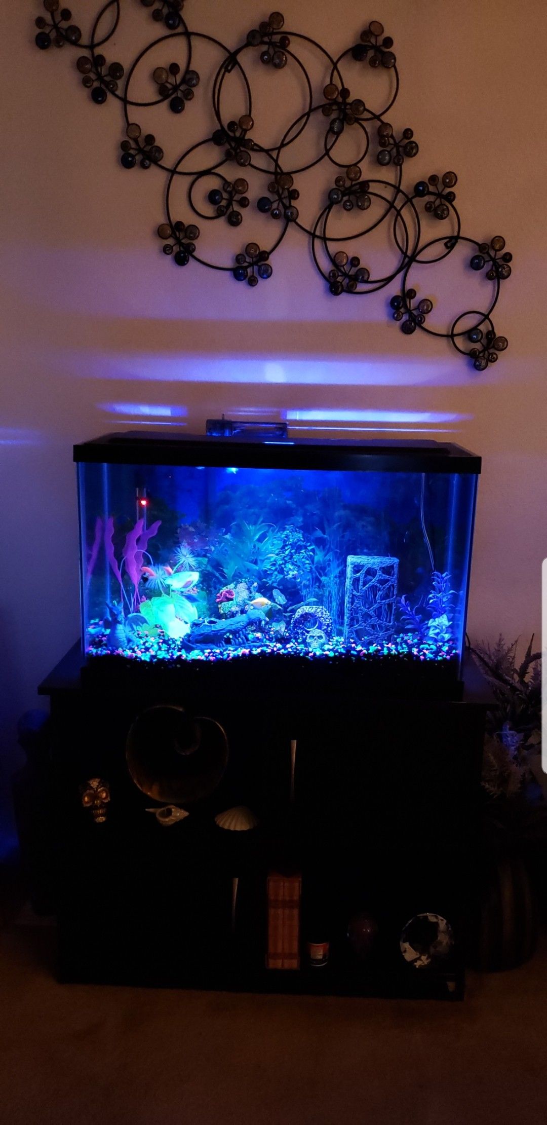 Fish tank items