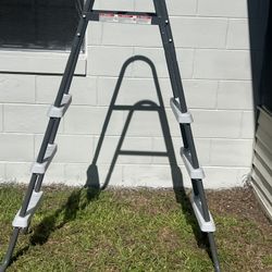 Pol Ladder 