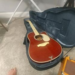 Esteban Acoustic Guitar W/Amp & Case