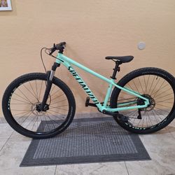 SPECIALIZED ROCKHOPPER COMP 29 ER 1 X 9 SPEED LIKE NEW( CHECK MY OTHER BIKES)