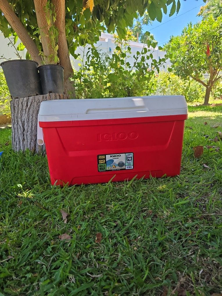 Igloo Cooler