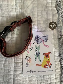 Brand New Dog Collar