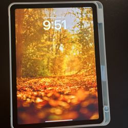 iPad Air 4th Gen 64 gig