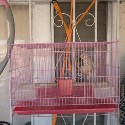 Jaula Para Avez