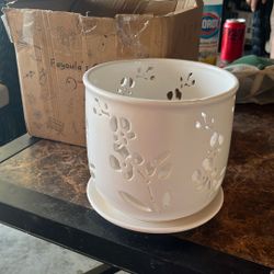 Orchid Pot