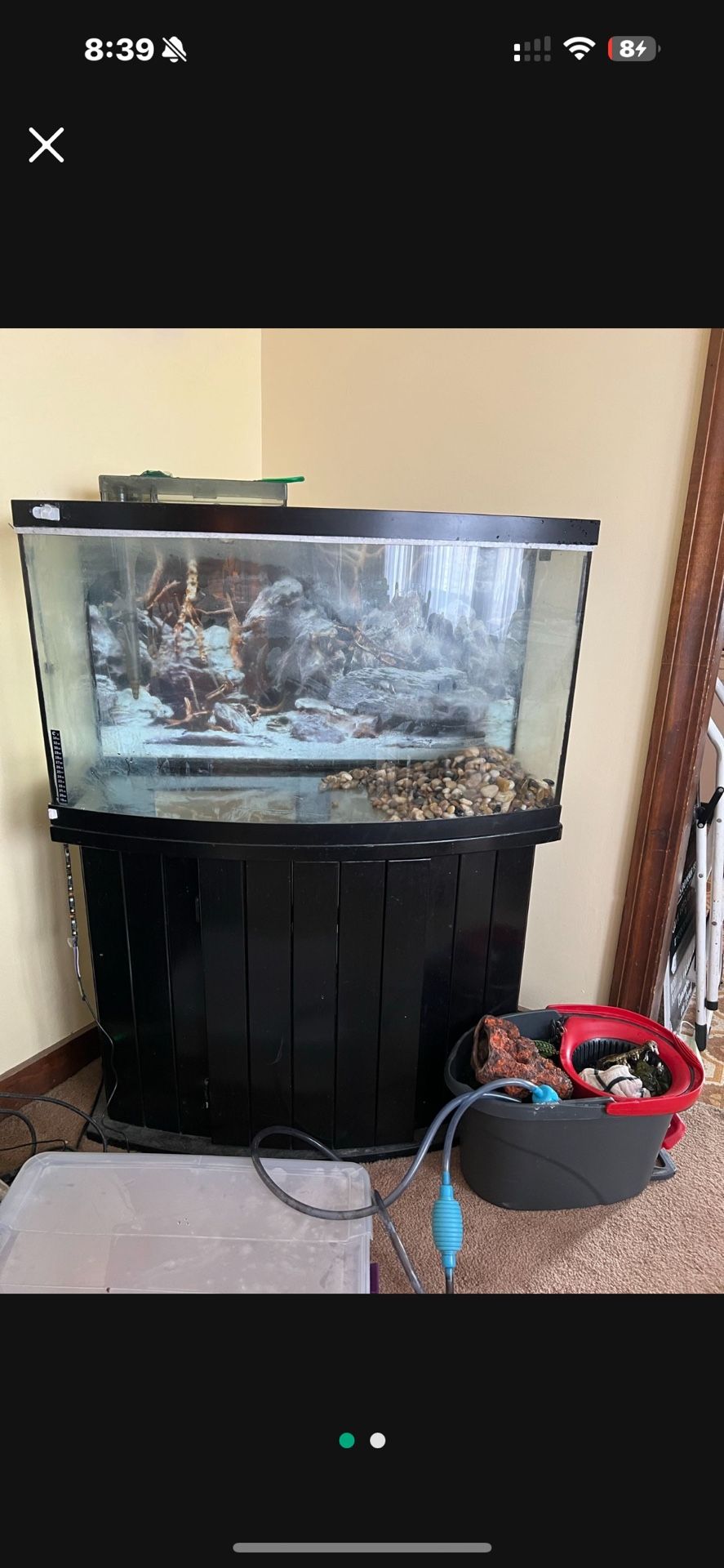 FREE NEED GONE TODAY!!!