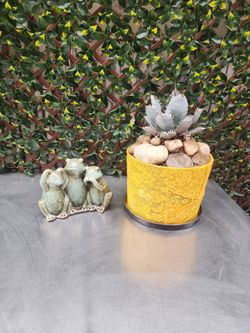 Cactus 🌵 Plant & 🐸 sculpture..both for only $15