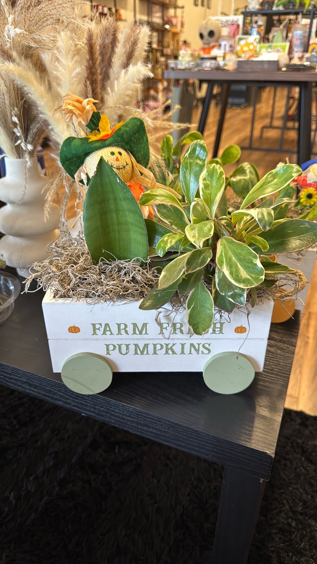 Succulents On a Pumpkin Patch Wagon