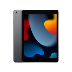 APPLE - 10.2-INCH IPAD (9TH GENERATION) WITH WIFI - 64GB - SPACE GRAY 