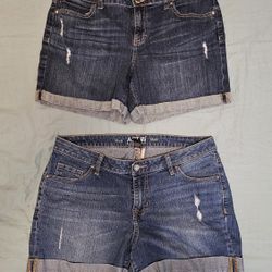 Women's Shorts- Size 10 And 12