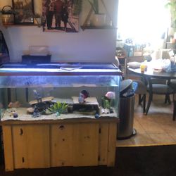 75 Gallon Fish Tank