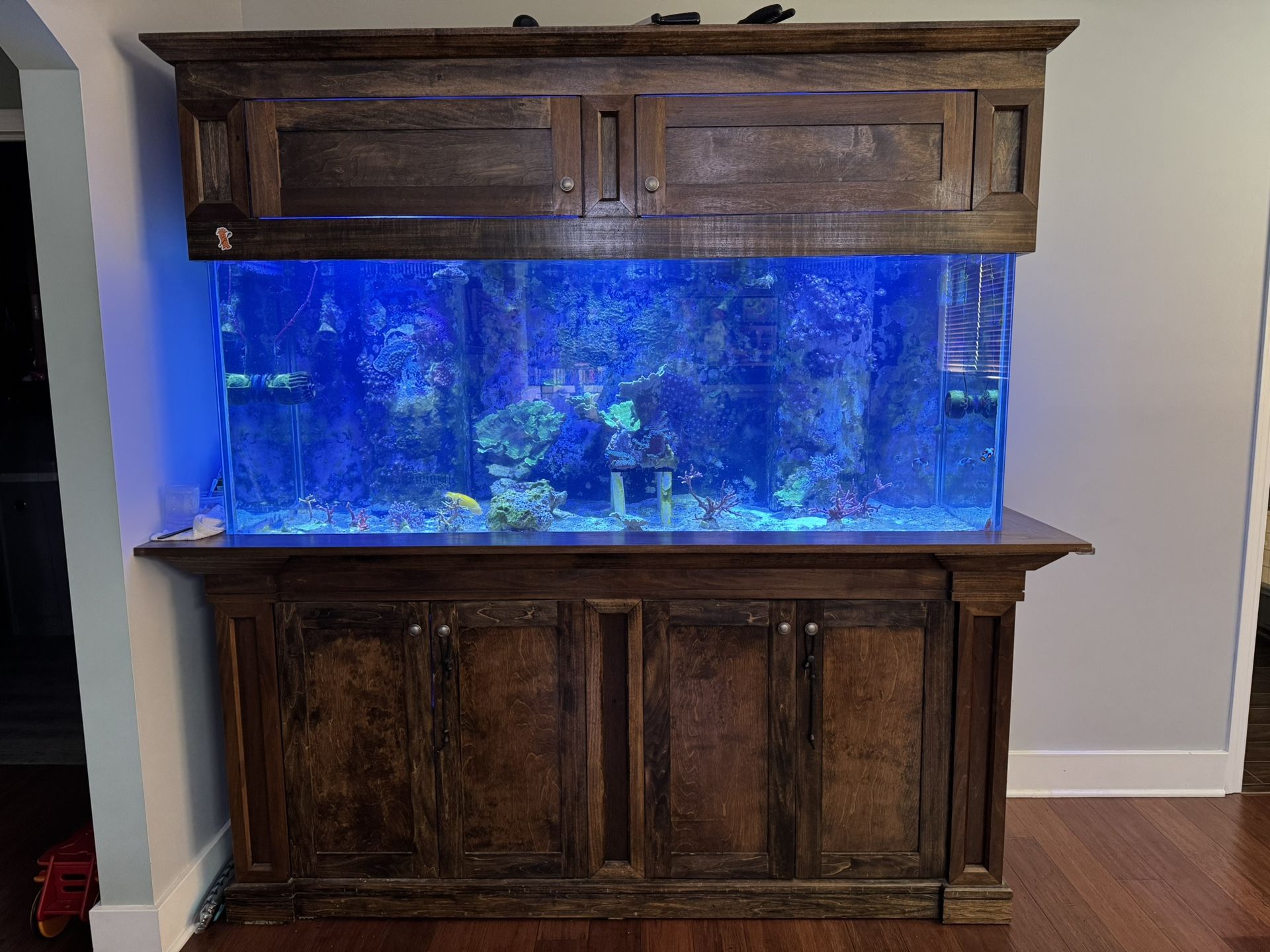 Aquarium Reef Ready Saltwater, Fresh Water