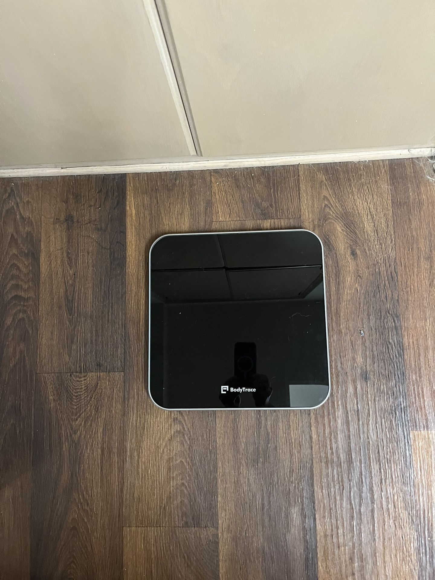 BodyTrace Weight Scale 