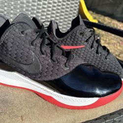 Lebron James Nike Size 13