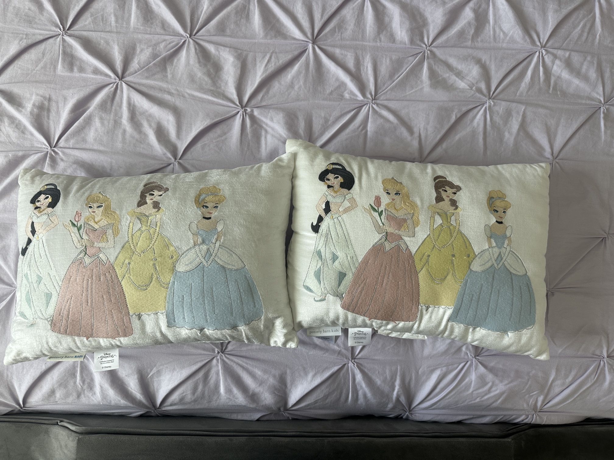 2 Pottery Barn Princess Pillows