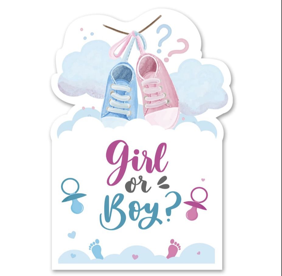 Set a 15 pink/blue gender reveal party invitations
