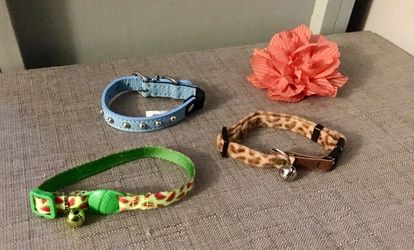 Assorted Cat/Small Dog Collars