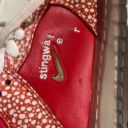 Nike stingwater sb dunks size 7.5