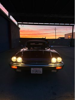 1984 Jaguar XJS