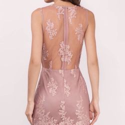 Brand Tobi- Pink Lace Dress, Size M