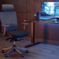 Cool Grey Ergochair Pro By Autonomous Ai