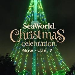 SeaWorld Holiday Wonderland ❄️ Lights • Shows • Santa