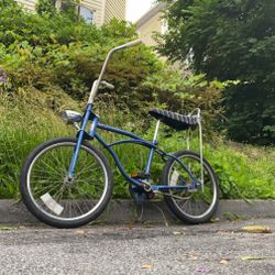1960's Western Flyer Banana Seat Bicycle - Buzz Bike