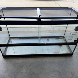 20 gallon terrarium