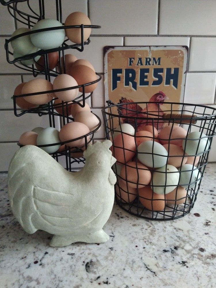 Fresh Eggs