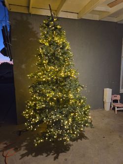 Christmas  tree  nice  big