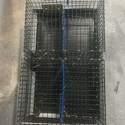 Thank You To Moore Kammalop For Finishing Off My Mobile Judging 11x31x19