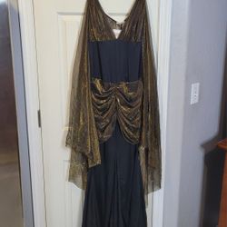 Fancy Black And Gold Dress Halloween Costumes