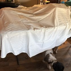 60 Round Polyester Cream Table Cloths