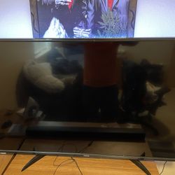 55’ Inch Toshiba Smart Tv