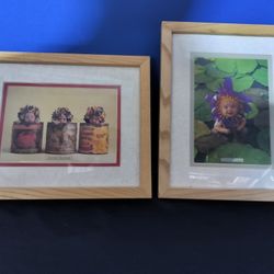 2 Small Anne Geddes Baby Pictures