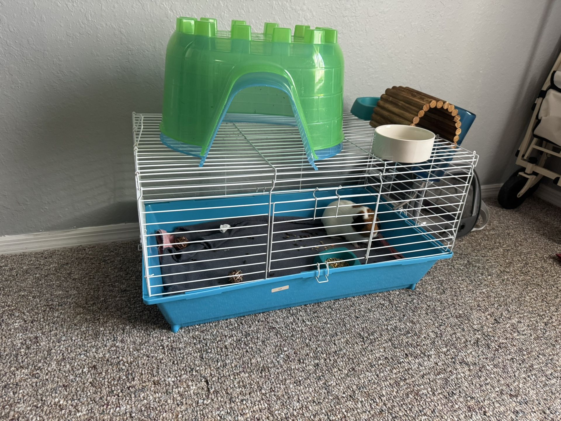 Cage