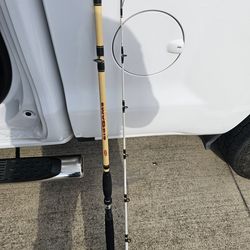 Berkley big game casting rod
