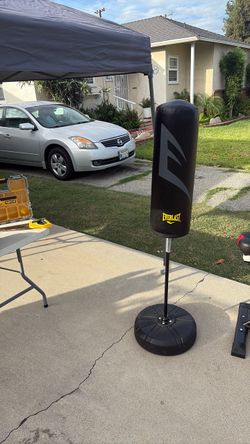 Punching bag