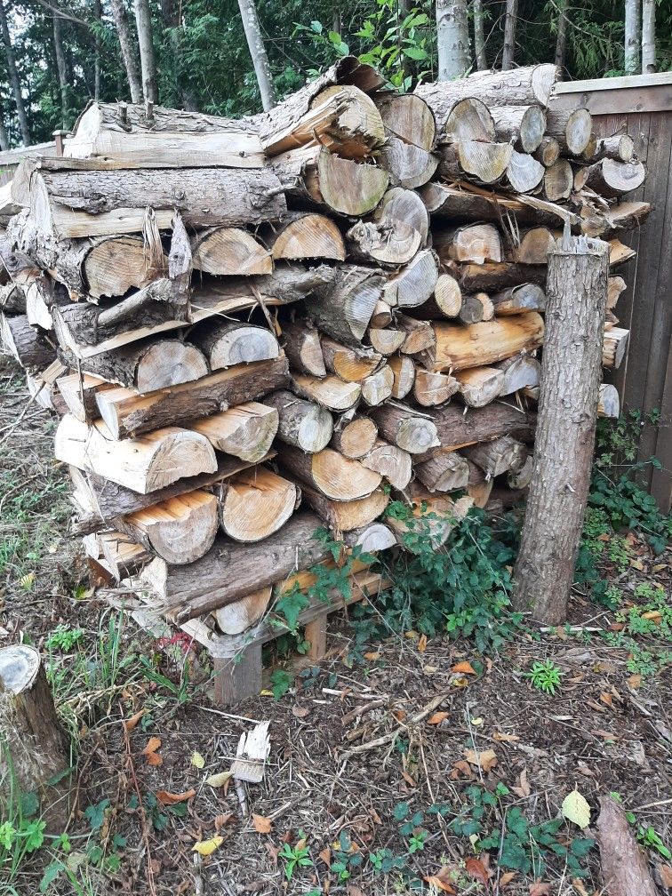 Firewood Seasoned 22" Cut Real Size 200.00 A Cord Uload And Haul