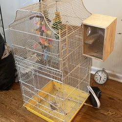Bird Cage 