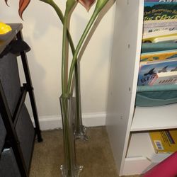 Glass Vases A Set Of Two