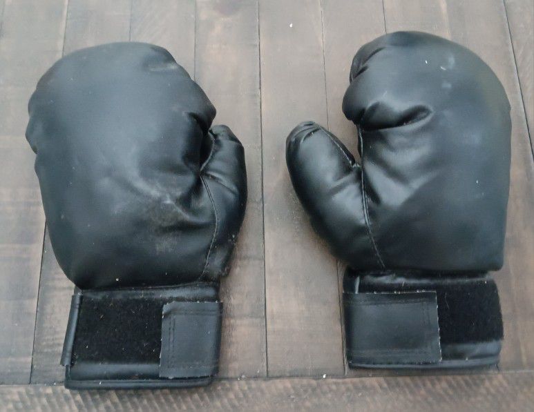Boxing Gloves For Sparring Sport Exercise 