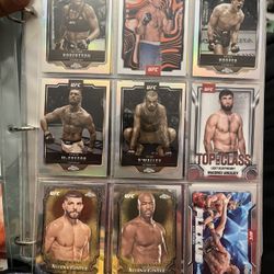 UFC Cards