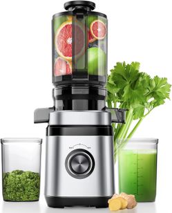Juicer Machines, Cold Press Juicer, Slow Masticating Juicers for Whole Vegetables & Fruits, Light Silver