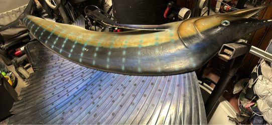 Fiberglass hanging Marlin