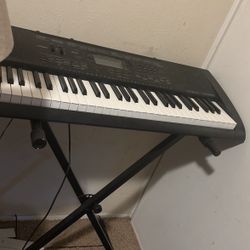 Keyboard, Stand, Stool 