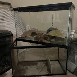 Tanks And Reptile Supplies 