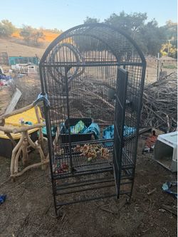 Large Bird Cage