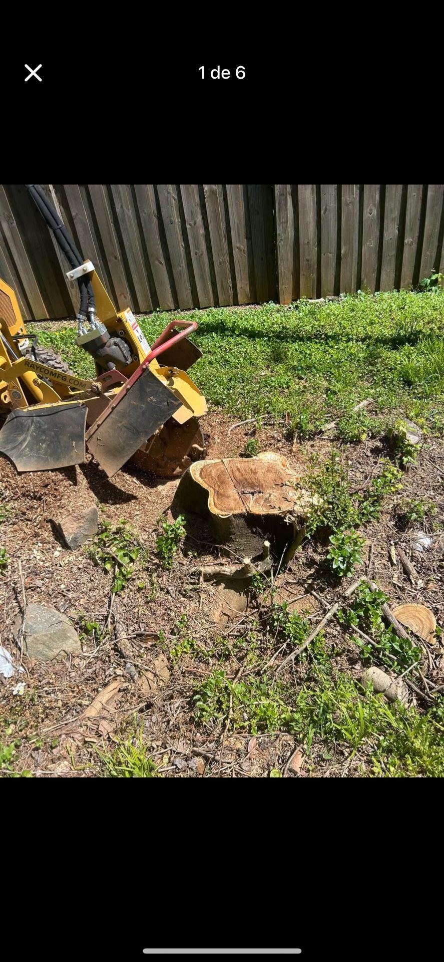 STUMP GRINDING