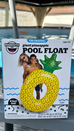 Giant Pineapple 🍍